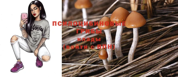 не бодяженный Куйбышев