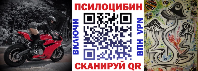 Купить закладки  Духовщина  Галлюциногенные грибы GOLDEN TEACHER 